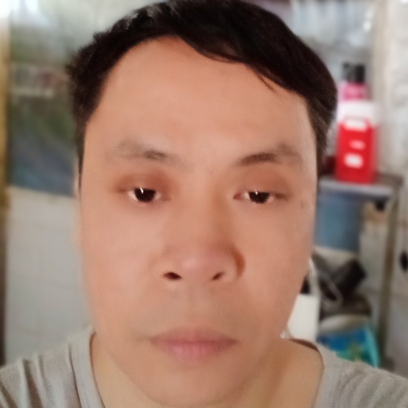 灰狼传统的照片