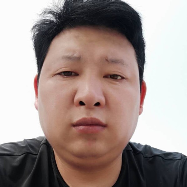 树叶停止开心的照片