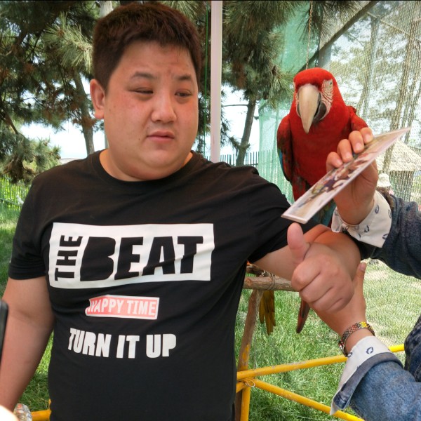 草莓冰激凌的照片