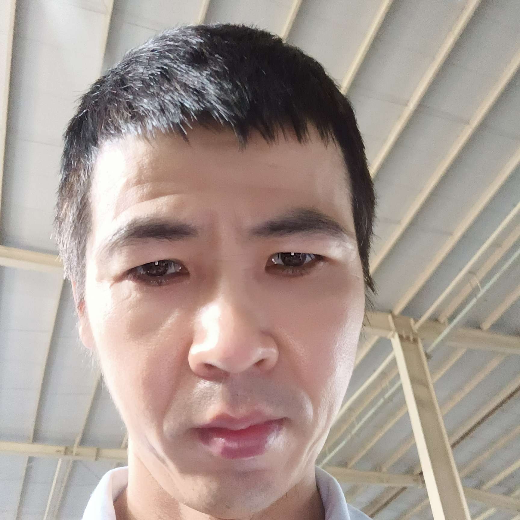 蝶舞請孝顺的照片