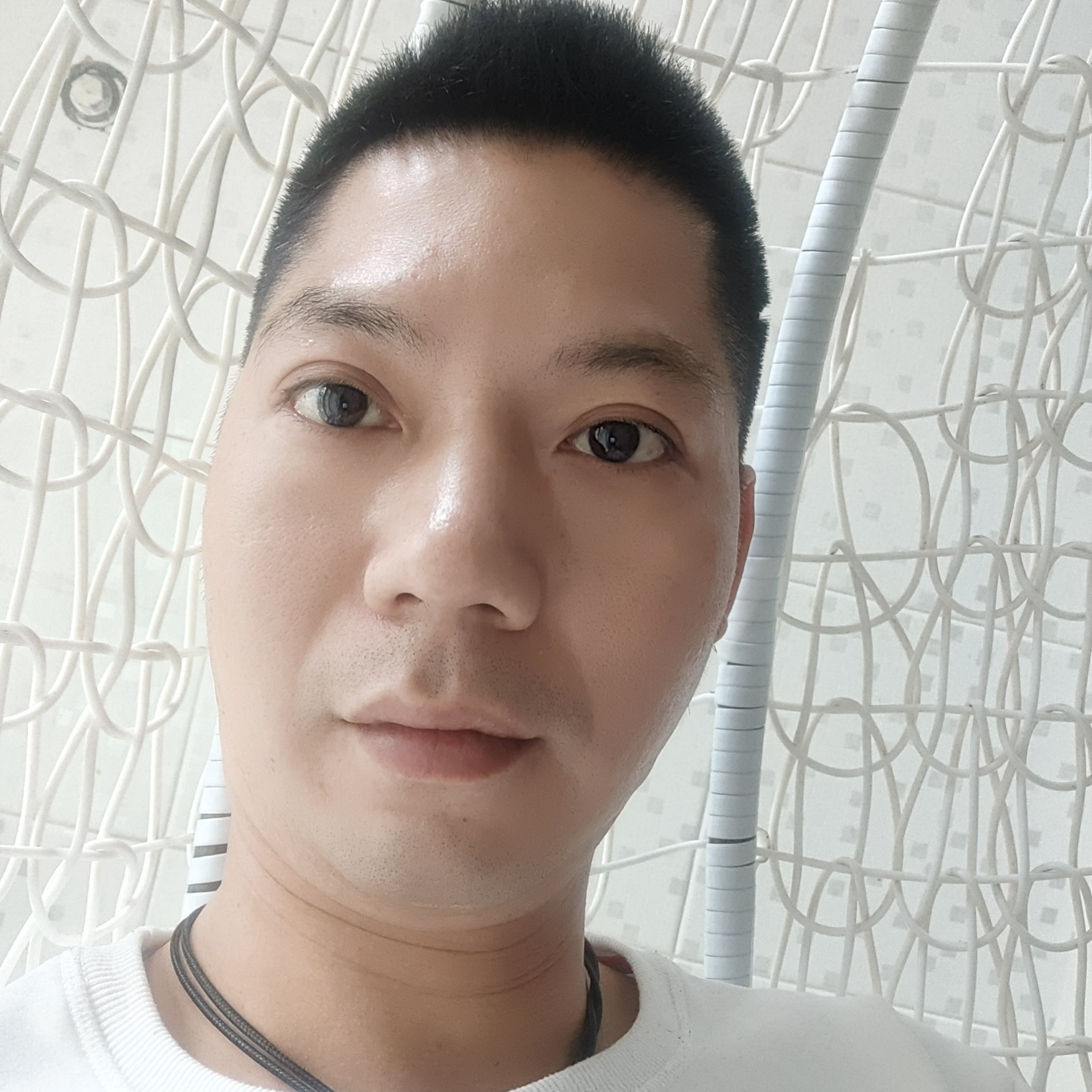 野性浅吻龙猫的照片
