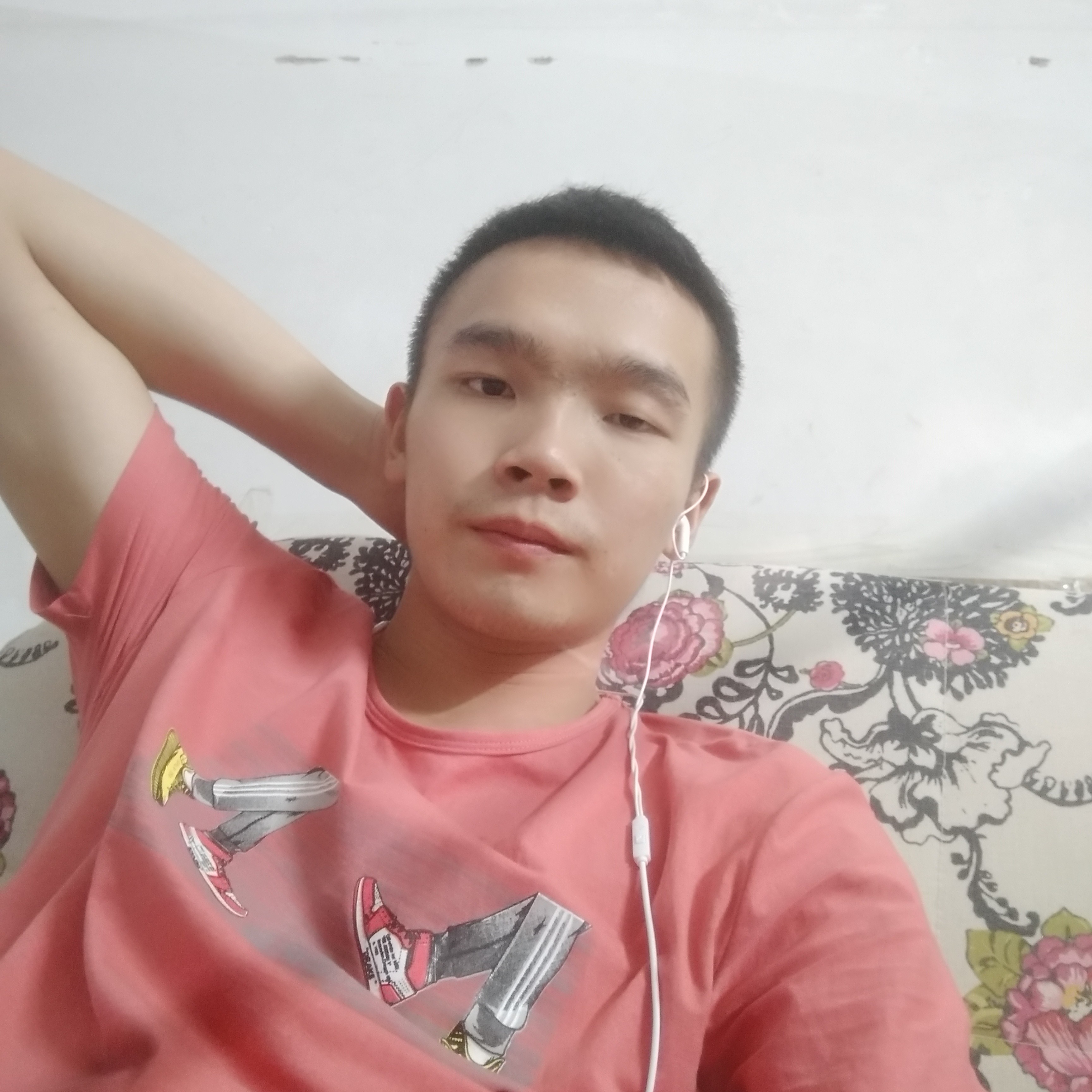 欣喜邂逅含羞草的照片
