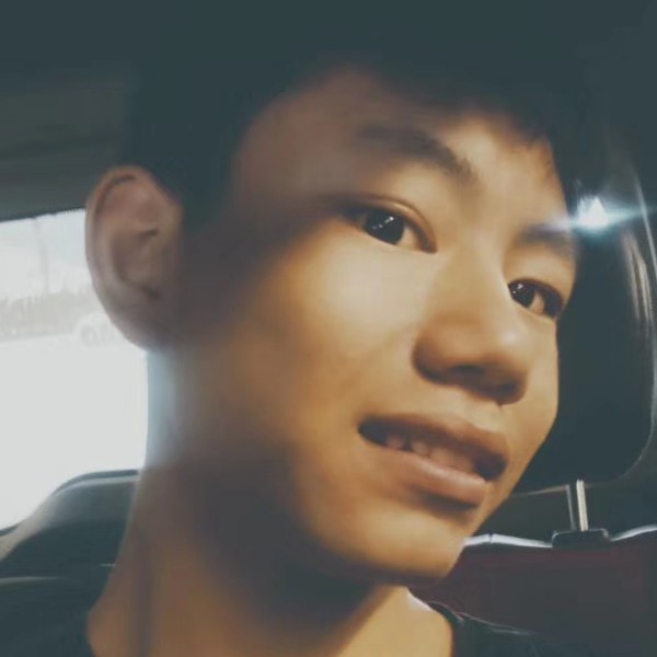 曾经停止鼠标的照片