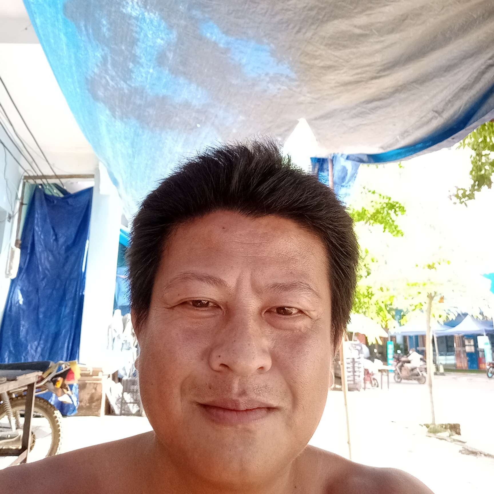 小兔子打单薄的照片