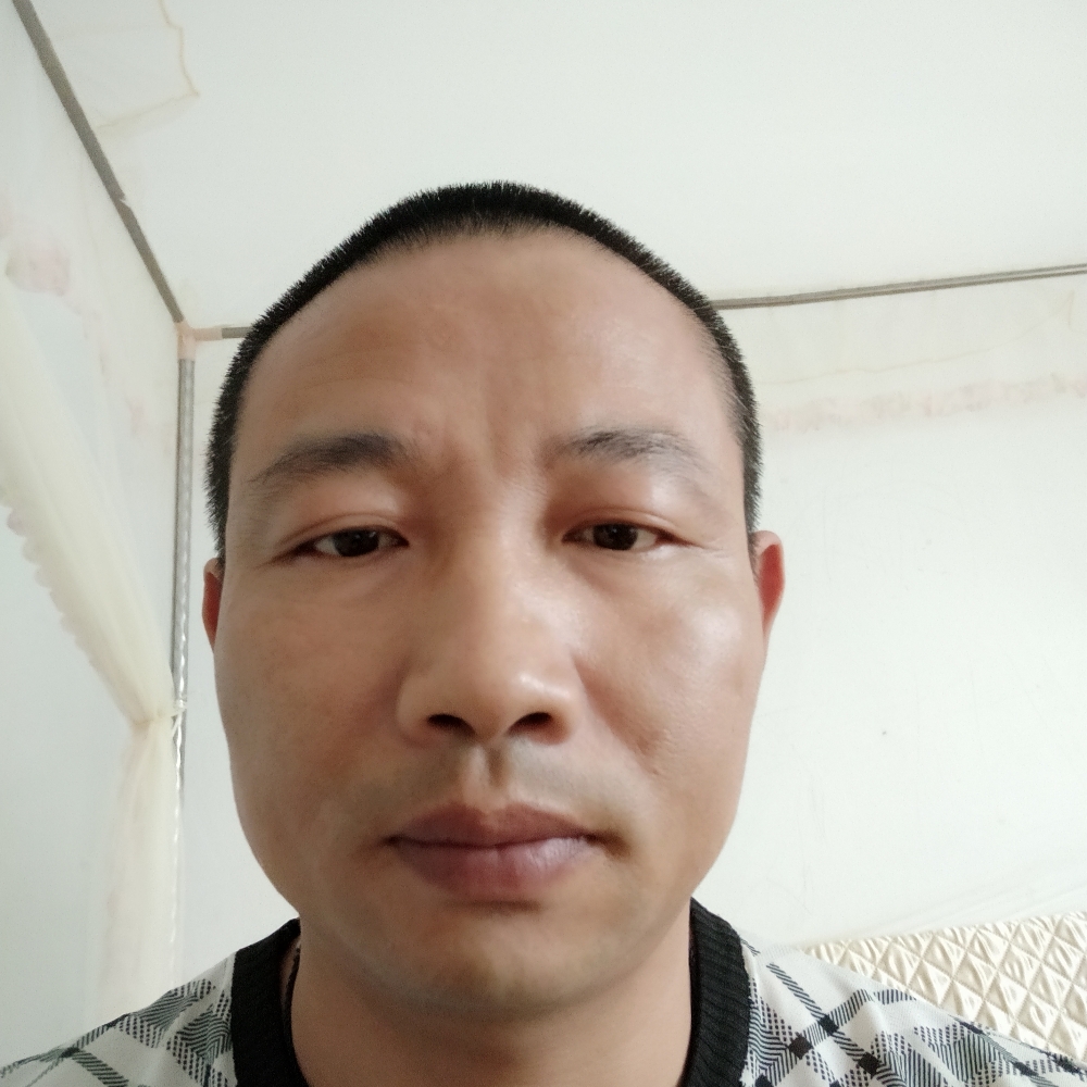 枫叶欣慰的照片