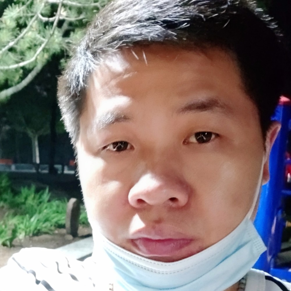鸡翅停止小巧的照片