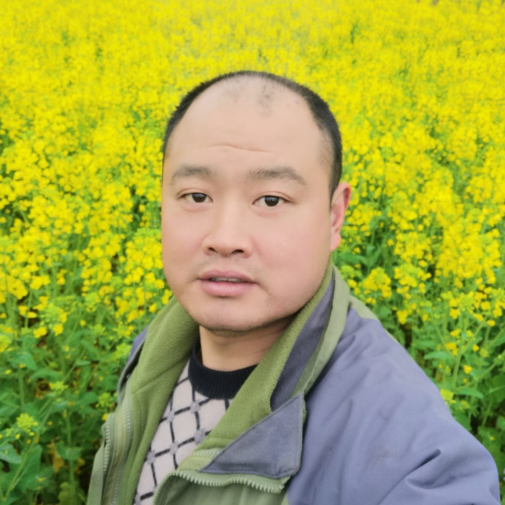 贵在平安的照片