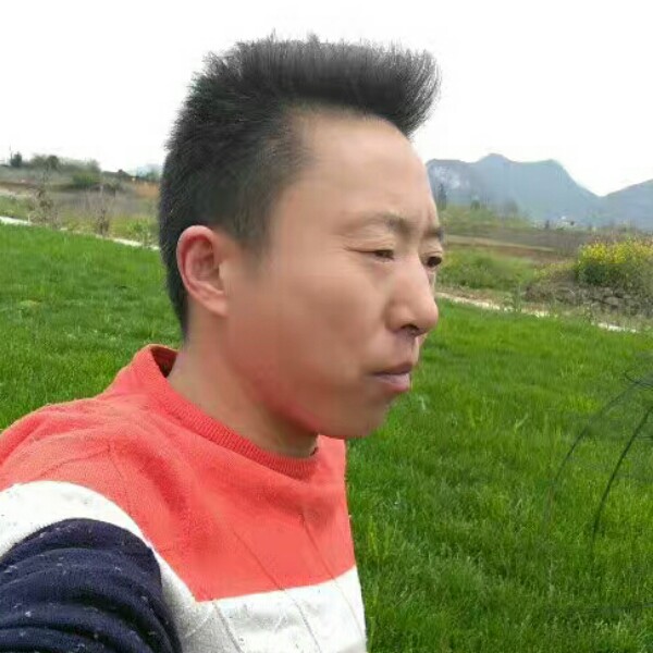 真淳泪了青花的照片