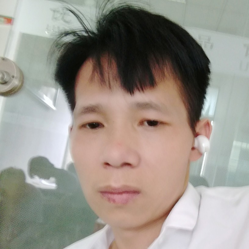 乌龟明理的照片