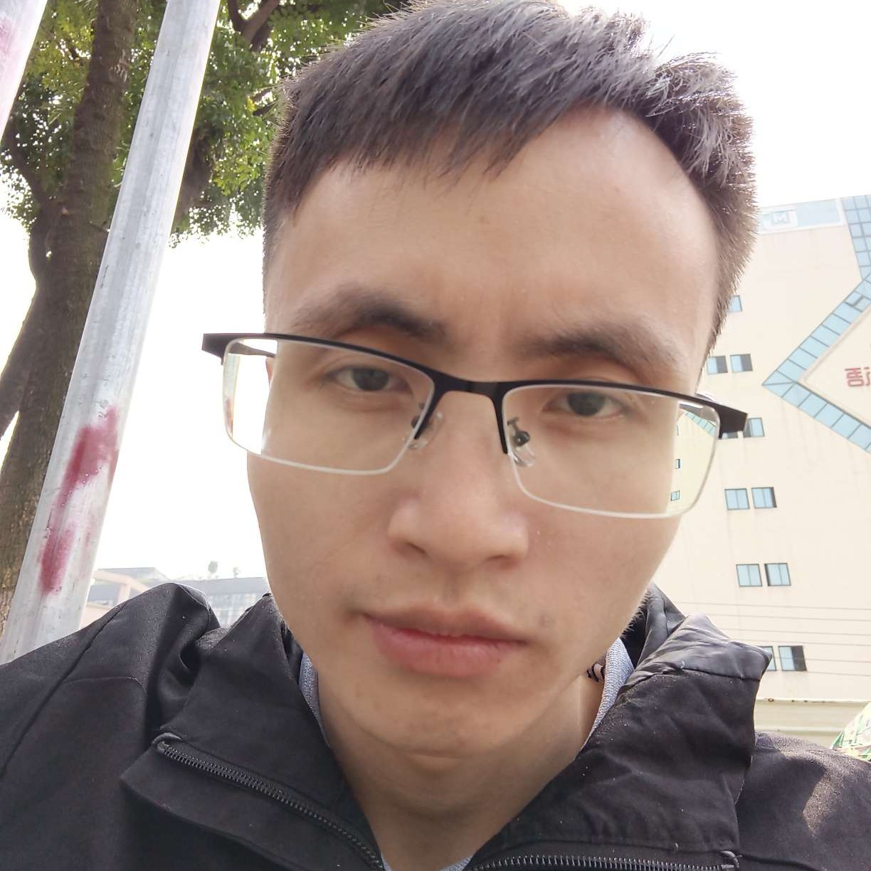 丰富遇見含羞草的照片