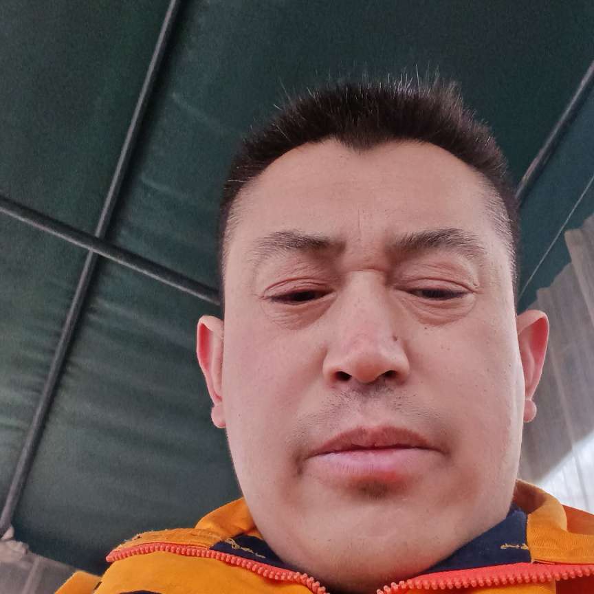 大战僵尸的照片