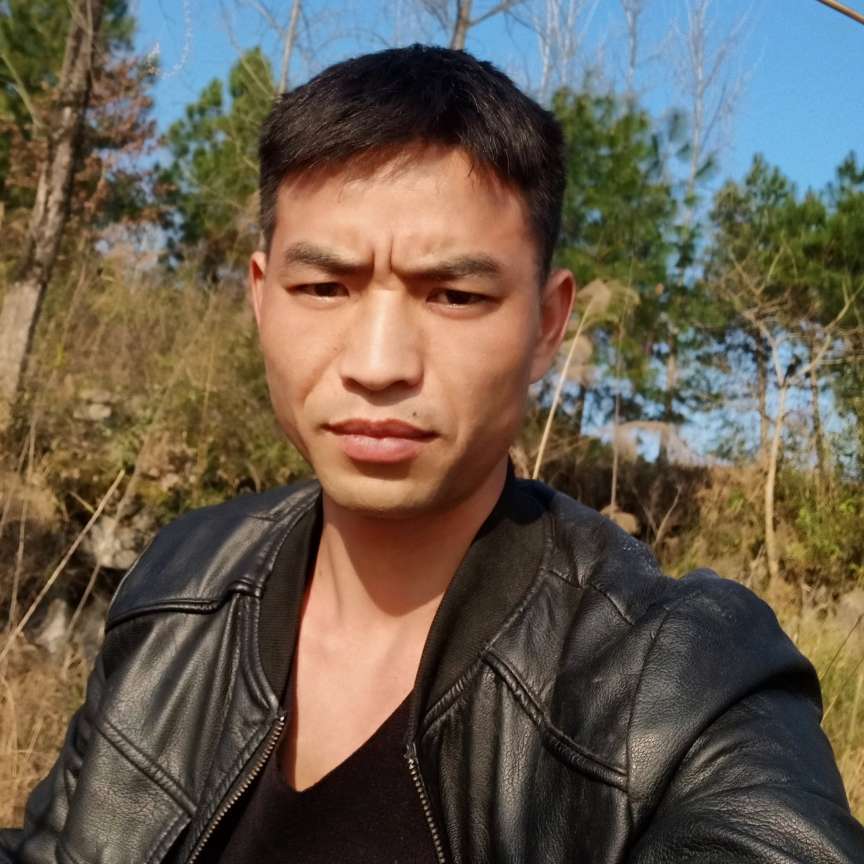 苦恋傻傻的照片