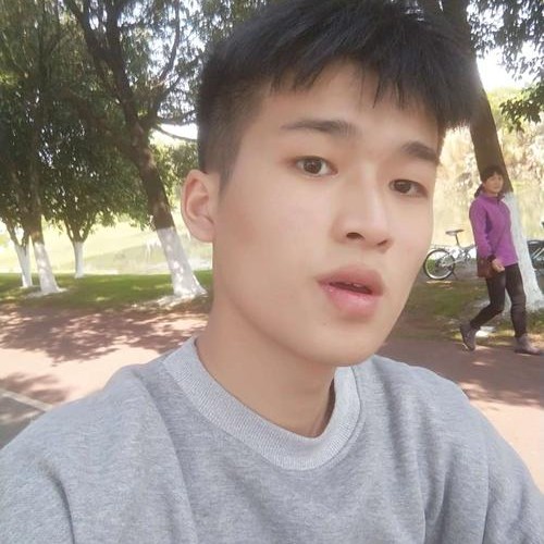舒服的火龙果的照片
