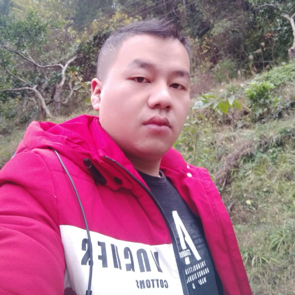 勇闯天涯只为寻拟的照片