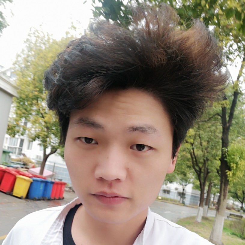 茁壮的成长的照片