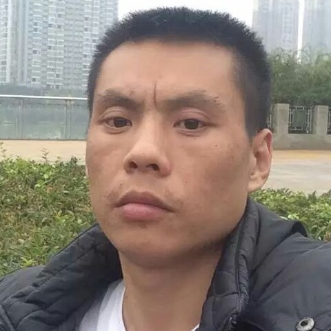 红枫叶的爱的照片