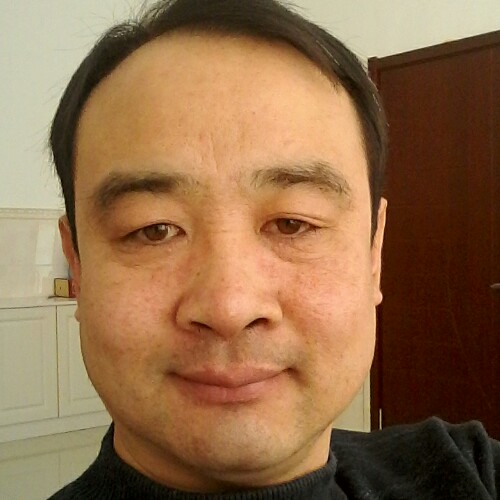 自由飞翔的小鸟的照片
