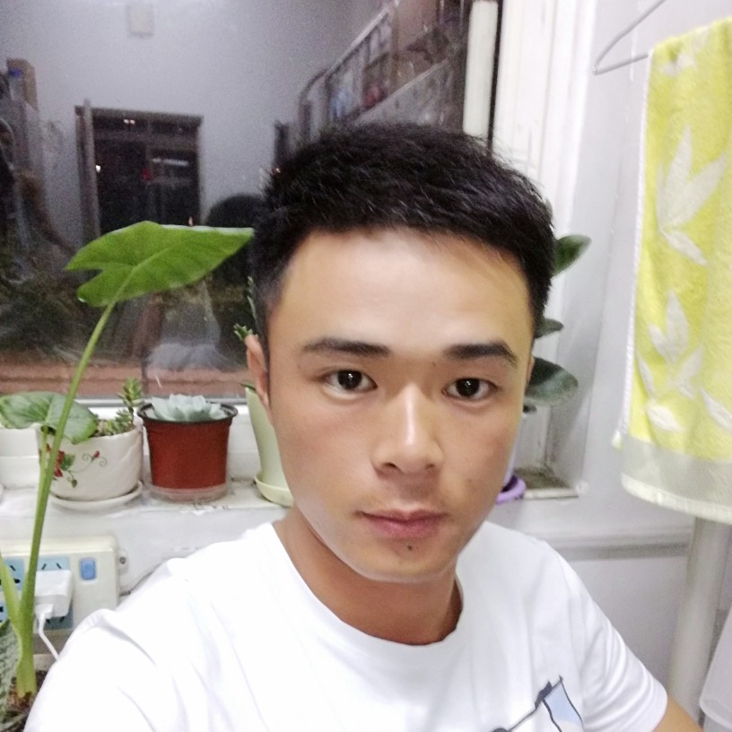 随风奔跑！的照片