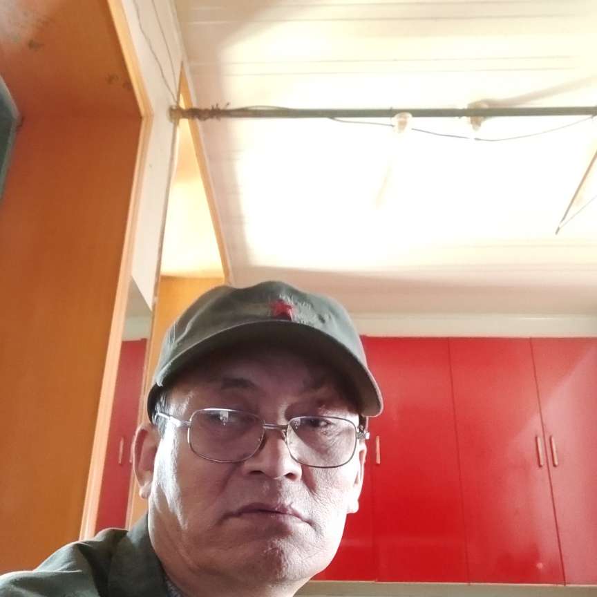 苗条爱恋大树的照片
