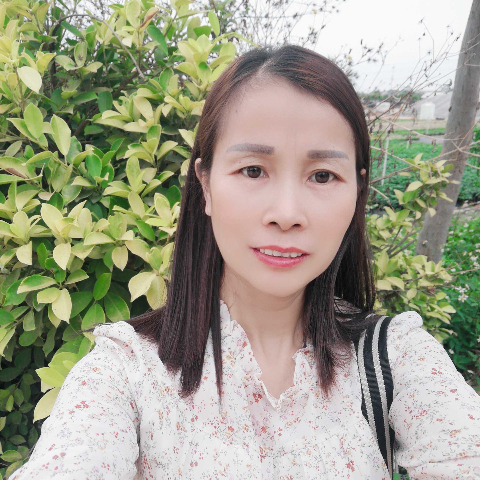 猫咪請潇洒的照片