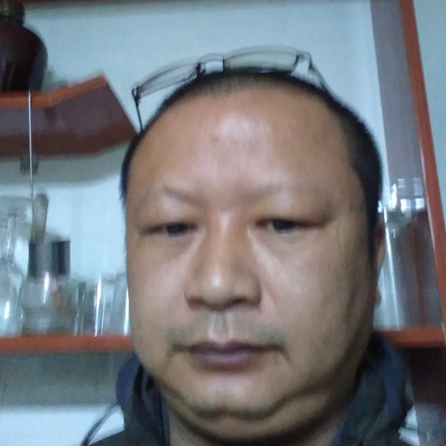 拼搏灰狼的照片