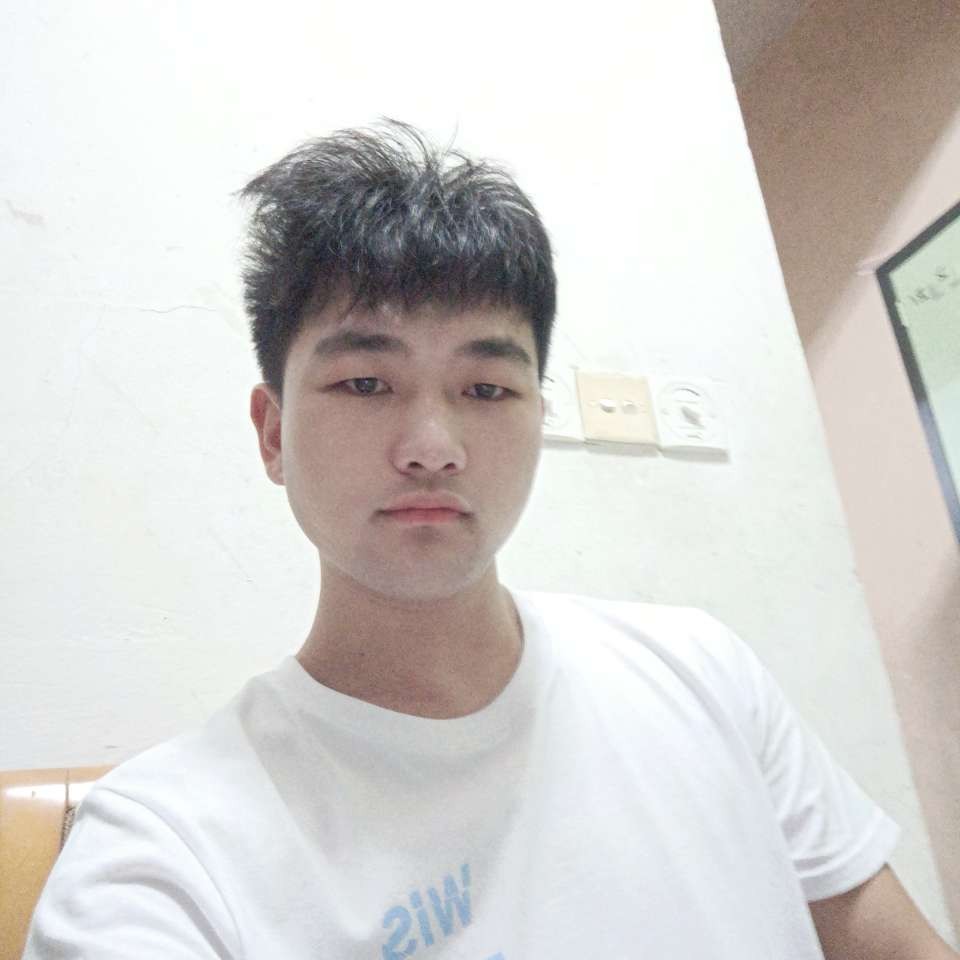 放飞的照片