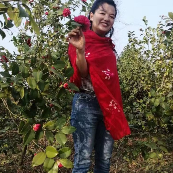 徐花花的照片