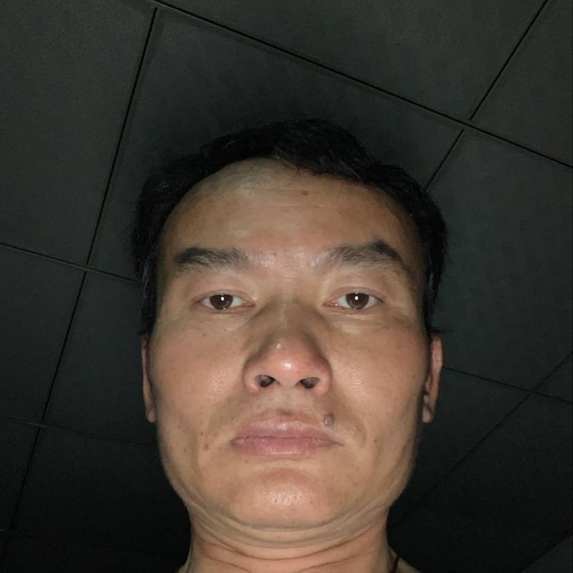 斑驳回首康乃馨的照片