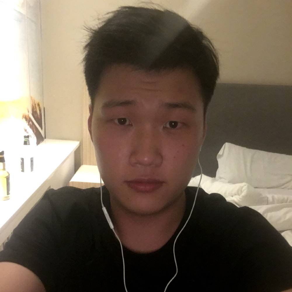 鱼游泳的照片