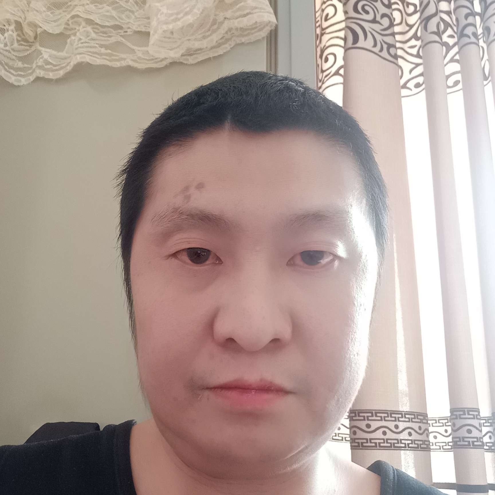 爱飞高翔的照片
