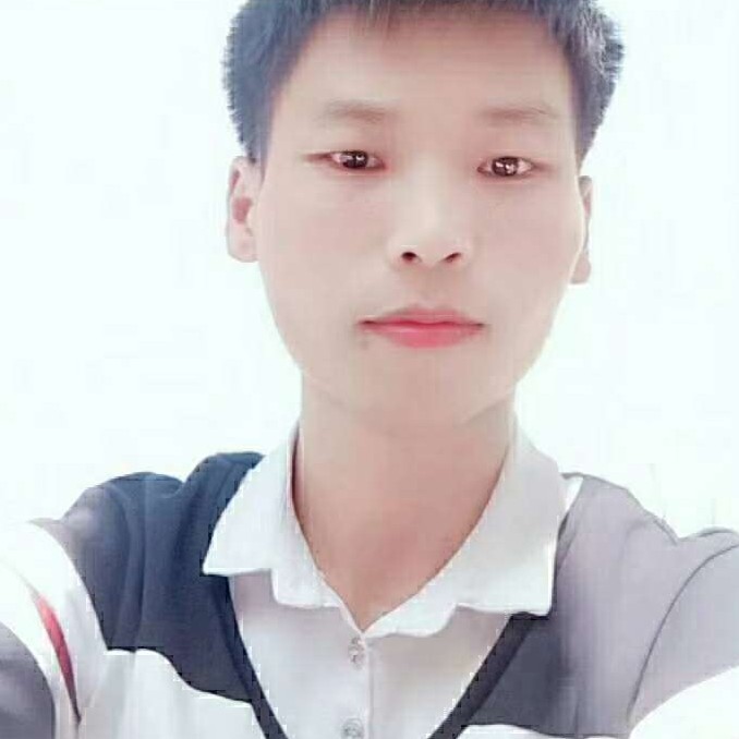 小鸽子能干的照片