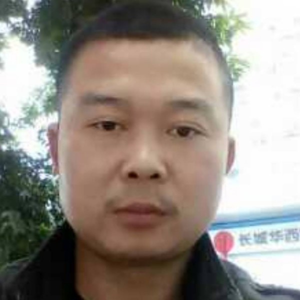 自由纸鹤的照片
