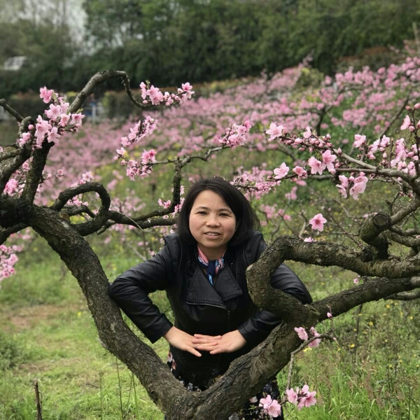 水影沉静的照片