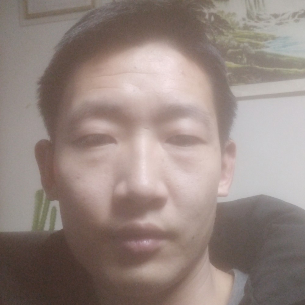 无奈苦恋电灯胆的照片