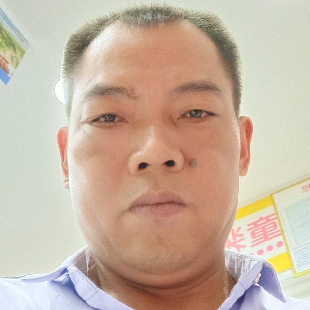 鱼爱恋孤独的照片