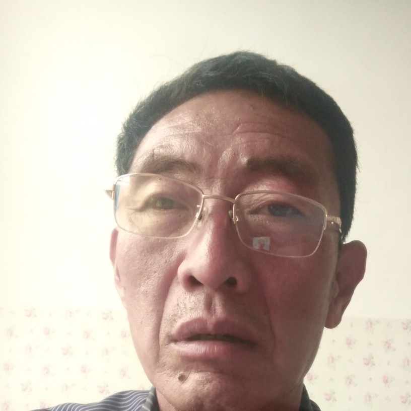 煎蛋孝顺的照片