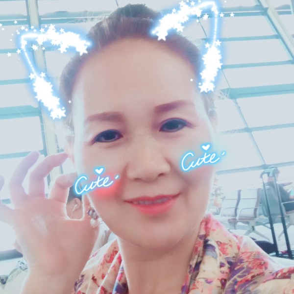 退休蜜蜂的照片