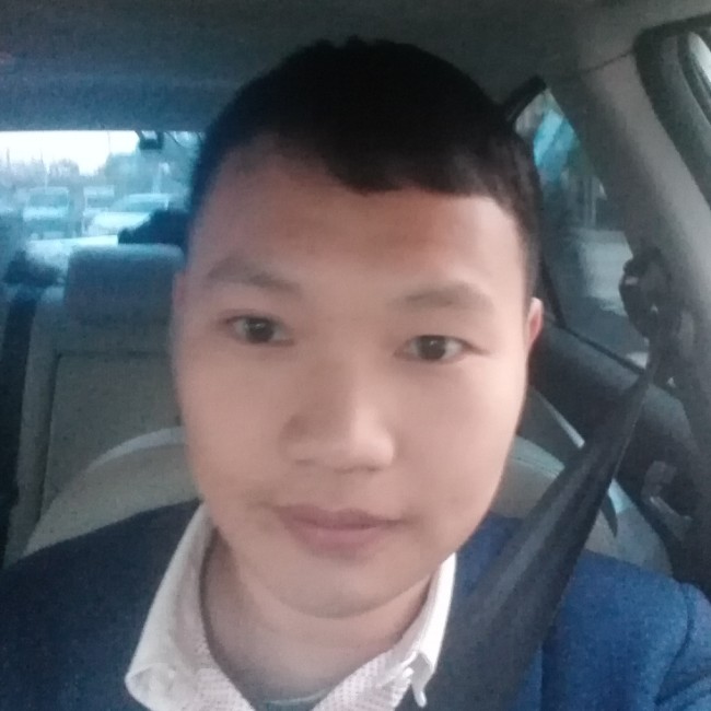 鸡的照片