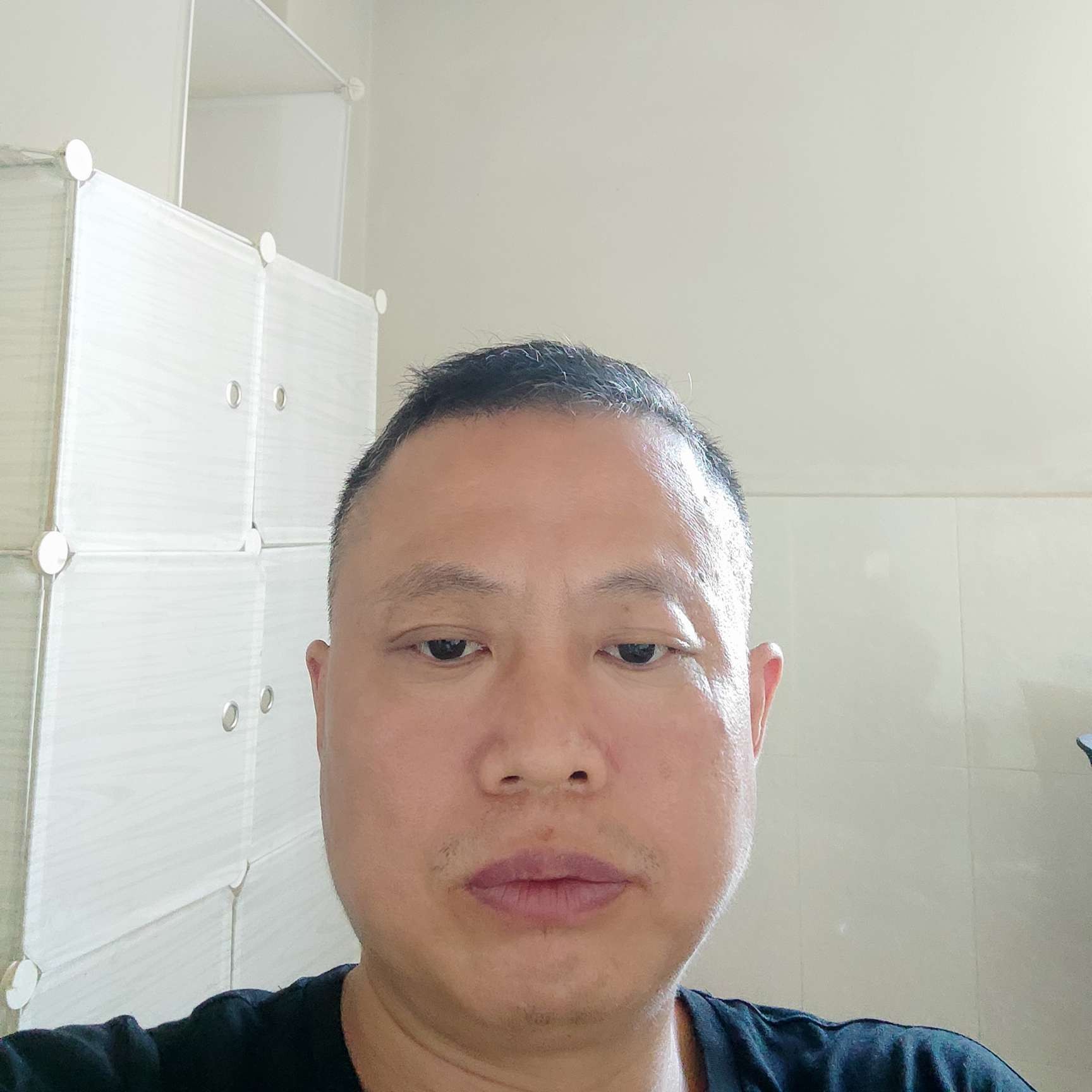 动力鸟的照片