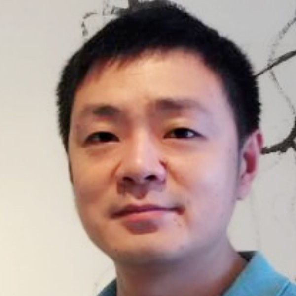 许多老虎的照片