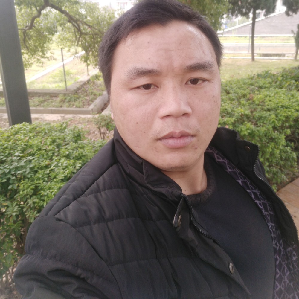 罗汉果花的照片