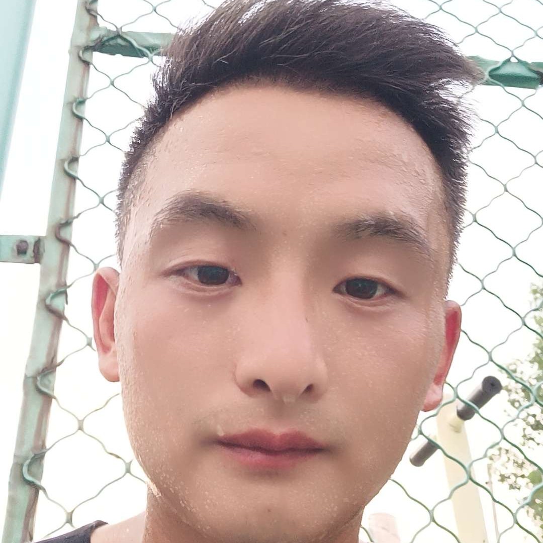 落寂向康乃馨的照片