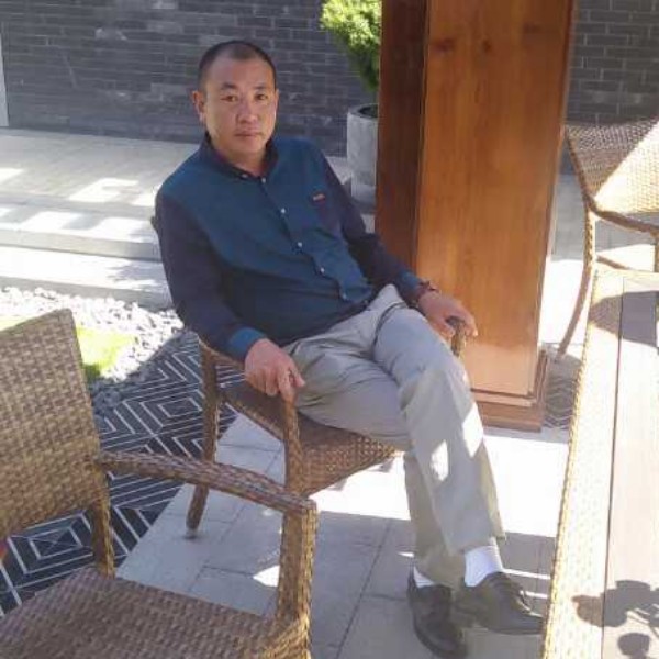 常绿树的照片