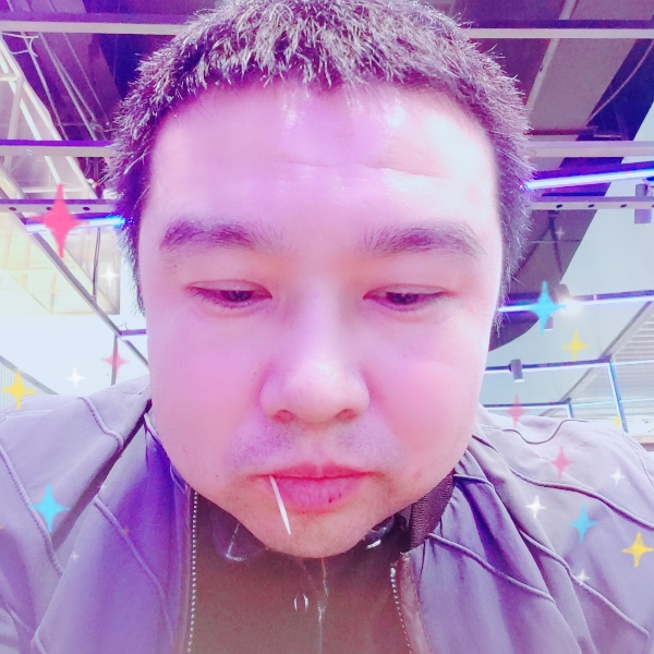 新鲜的牛粪的照片