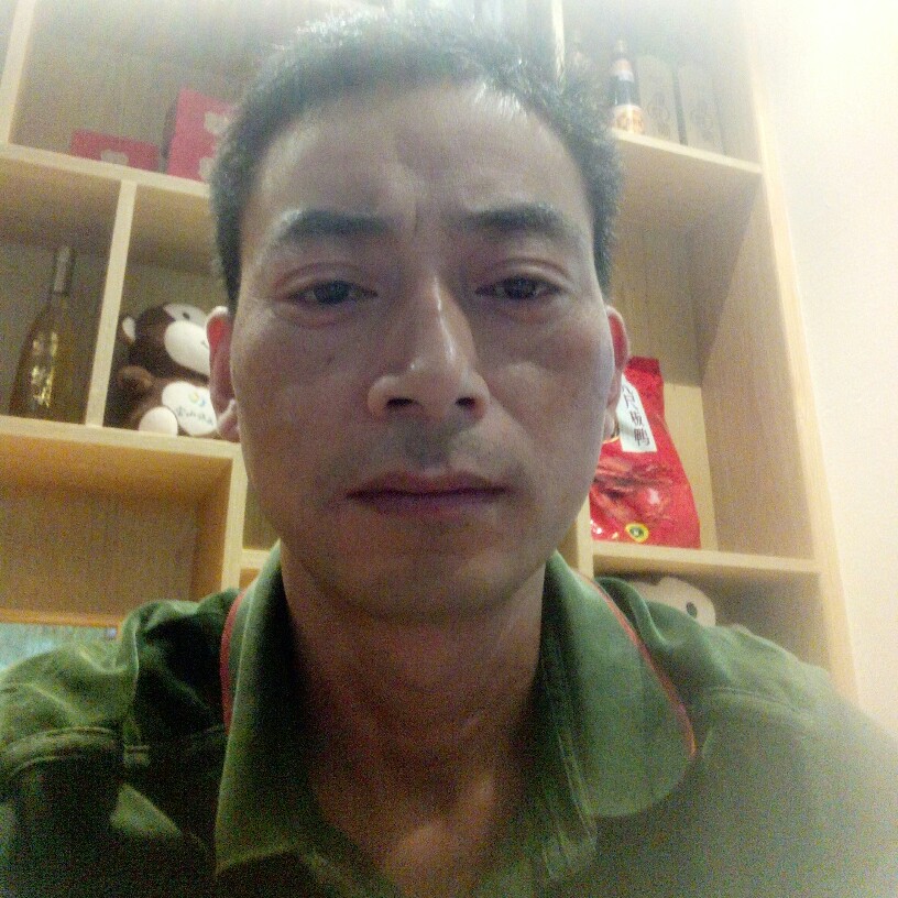 老实悟空的照片