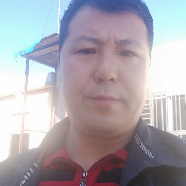 东北人离婚两年的照片