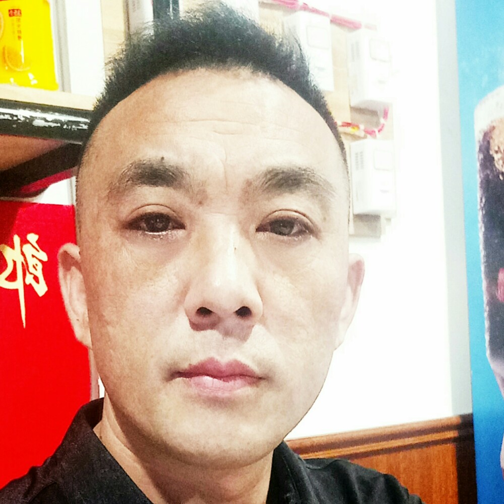 孤單演变大象的照片