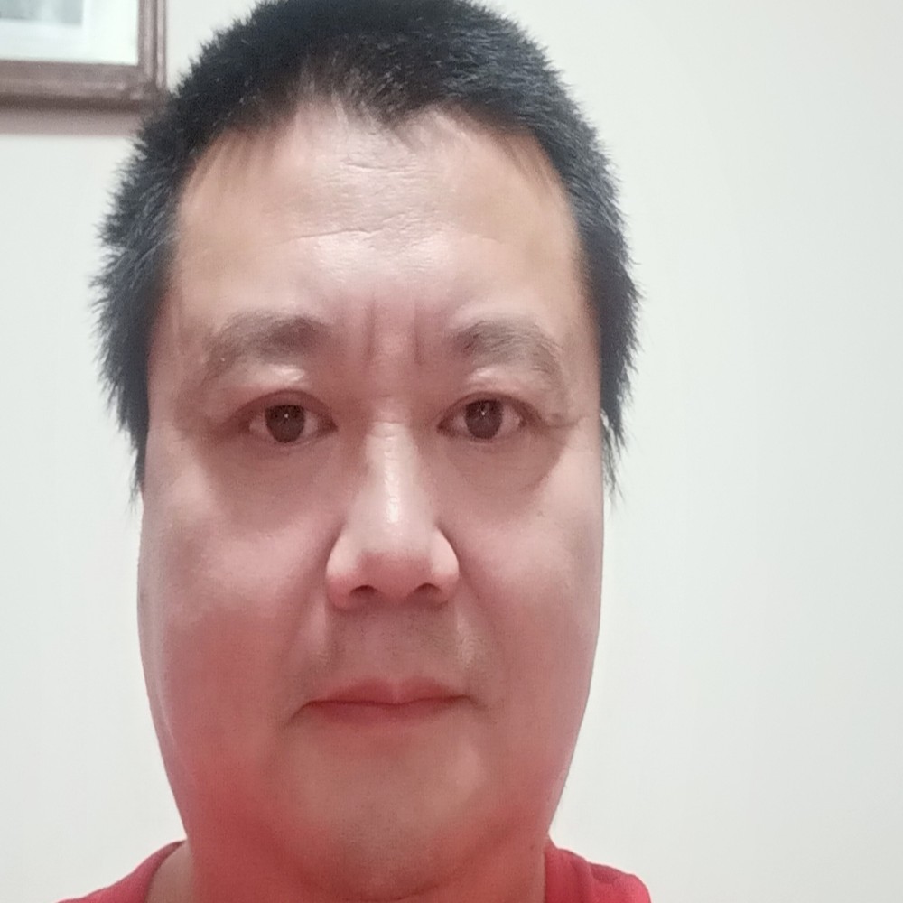 蚂蚁来了的照片