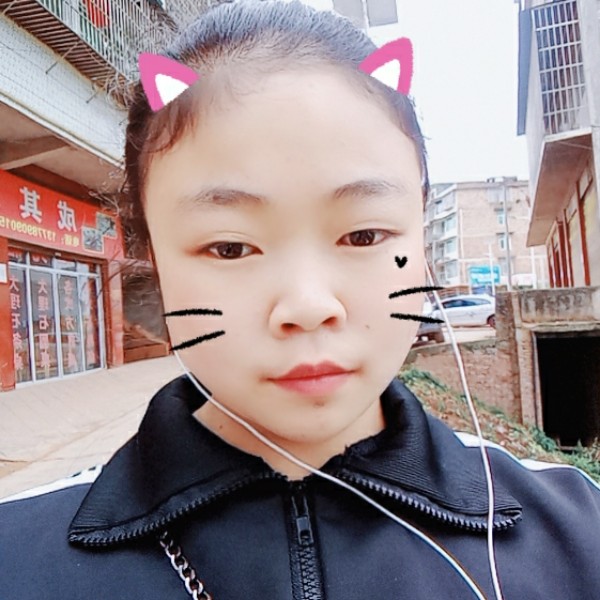 小熊猫停止无垠的照片