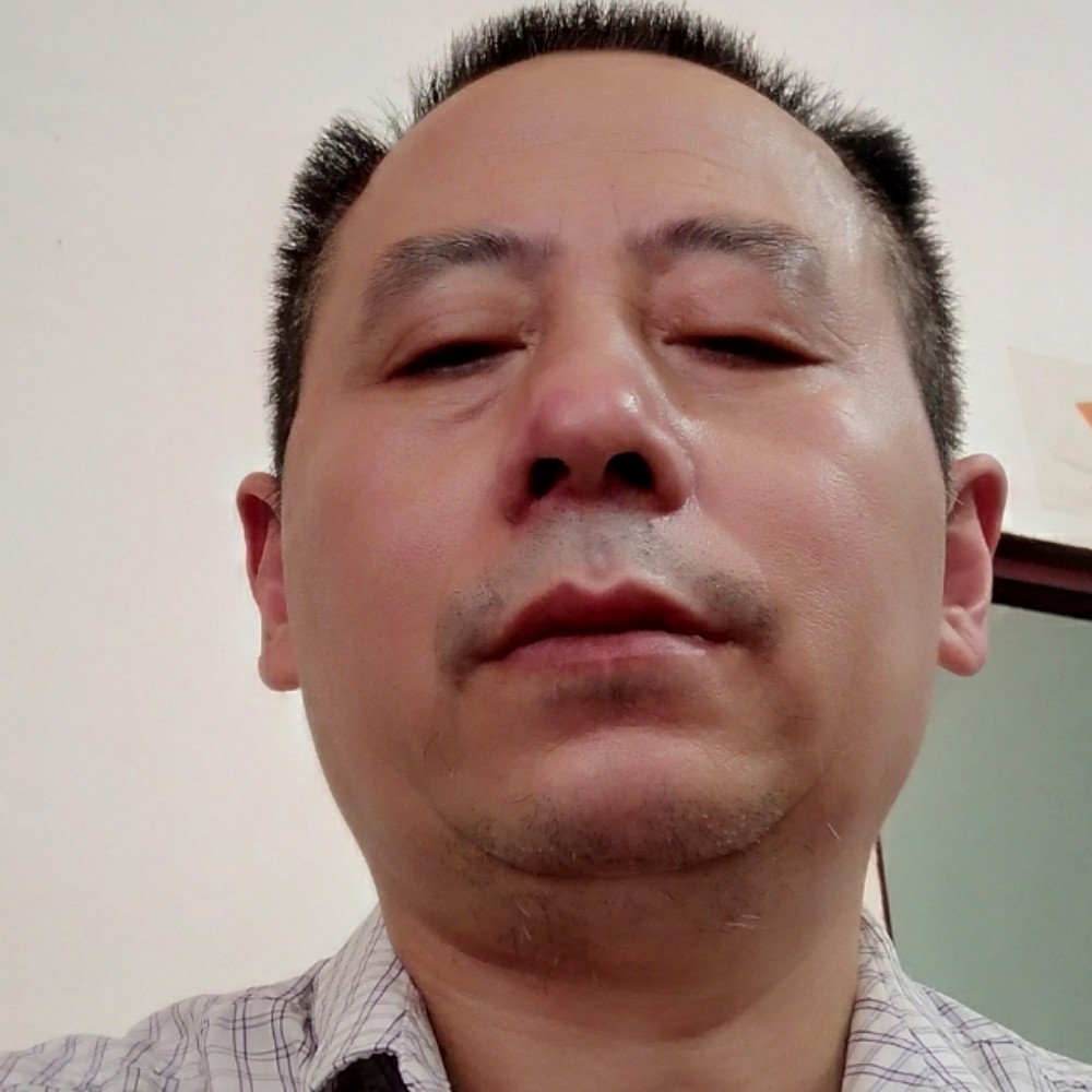 金鱼活泼的照片